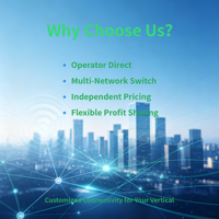 Carte SIM IoT internationale |   Carte SIM mondiale IoT |   Approvisionnement en gros pour les distributeurs et les intégrateurs de systèmes |   Support APN privé