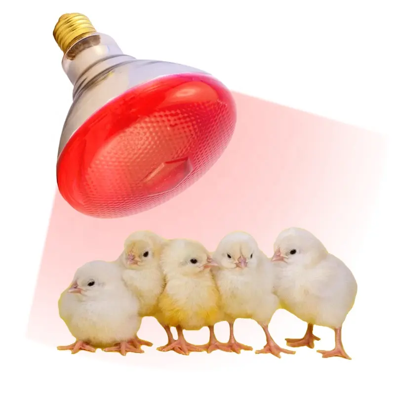 near infrared sauna waterproof heating lamp heat lamp for animals poultry chicken