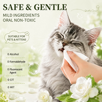 Lingettes OEM biodégradables rafraîchissantes pour les yeux et les oreilles des animaux, soin doux et délicat, nettoyage des taches de larmes, pour chiens et chats, usage quotidien jetable
