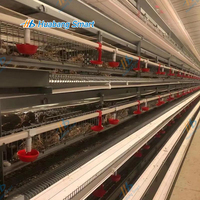 Cage à cailles entièrement automatique de type H en métal avec ligne d'alimentation et d'abreuvement