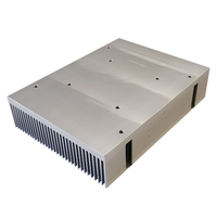 Dissipateur thermique thermoélectrique 120(L)*36(H)*160(C)mm Série 6000 Dissipateur par extrusion pour effet Peltier