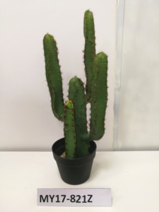 Offre Spéciale grand en plastique <span class=keywords><strong>d</strong></span>'<span class=keywords><strong>intérieur</strong></span> plantes tropicaux <span class=keywords><strong>d</strong></span>écoratifs plantes de cactus en pot - Product Image 2