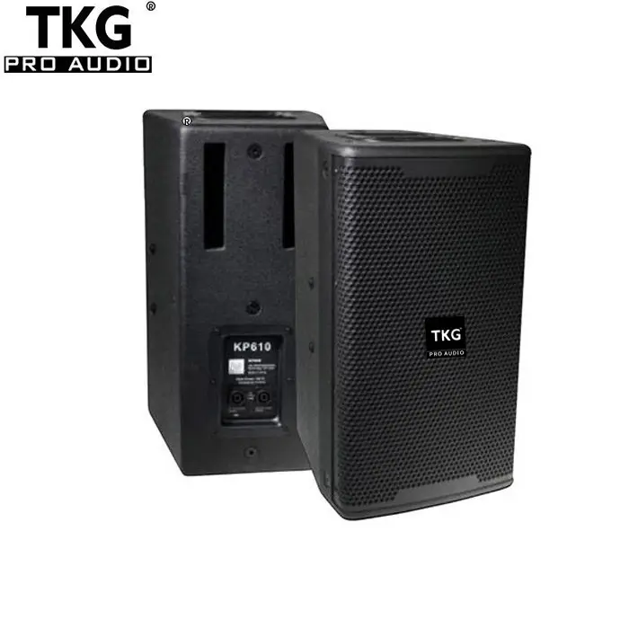 TKG KP6010 Altavoz profesional de audio de 300 vatios Altavoz de 10 pulgadas