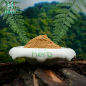 CS-4 Đông Trùng Thảo Chất Lượng Cao/Chiết Xuất Thảo Mộc Thảo Mộc/Bột Chiết Xuất Thảo Mộc Đông Trùng Thảo - Product Image 5