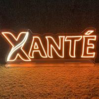 Enseigne néon LED personnalisée pour entreprise, orange chaud, logo personnalisé, éclairage néon pour voiture, entreprises, devanture de magasin, salon, décoration murale commerciale