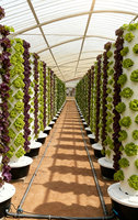 Système de culture verticale, jardin hydroponique, légumes, herbes, fraises, tomates, kit de culture en tour d'aéroponie avec minuterie mécanique