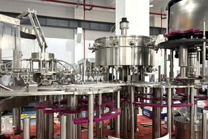 Remplisseuse d'embouteillage automatique <span class=keywords><strong>de</strong></span> boissons gazeuses à eau gazeuse pour petites entreprises Prix - Product Image 4