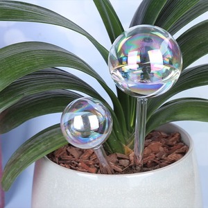 Sistema <span class=keywords><strong>de</strong></span> autorriego <span class=keywords><strong>de</strong></span> vidrio transparente con degradado <span class=keywords><strong>de</strong></span> arcoíris iridiscente, bombillas automáticas para bebedero <span class=keywords><strong>de</strong></span> <span class=keywords><strong>plantas</strong></span>, latas <span class=keywords><strong>de</strong></span> agua <span class=keywords><strong>de</strong></span> Color claro - Product Image 1