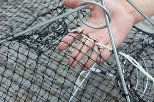 Promotion : Nasse d'aquaculture 60 x 60 cm, petite nasse carrée pour homards et coquillages - Product Image 6