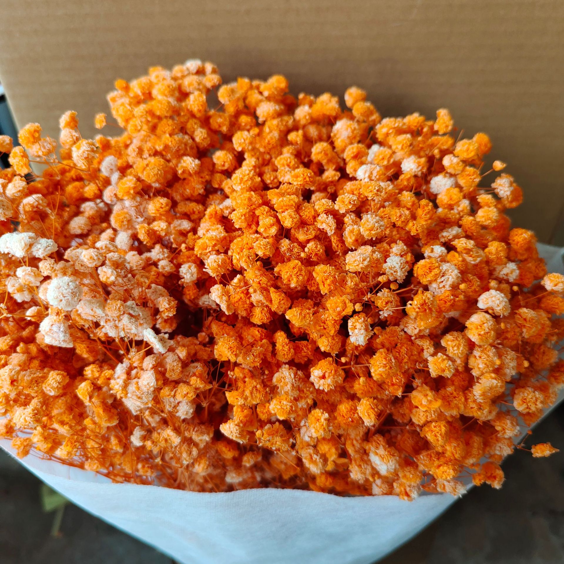Orange clair