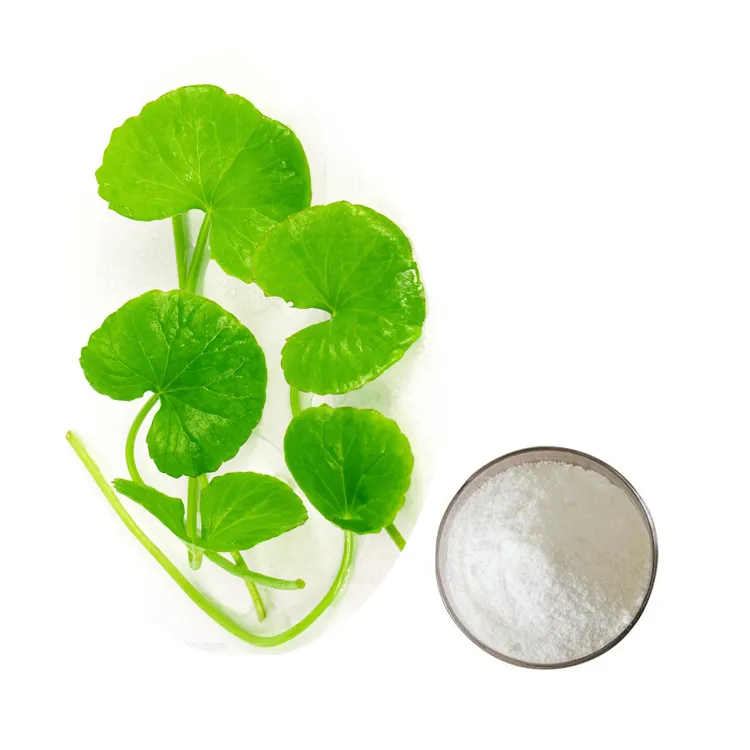 Hongda Supply Asiaticoside Poeder Centella Extract Centella Asiatica Extract Centella Asiatica Extract Prijs