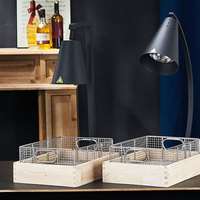 Lampe Chauffante de Comptoir 250W pour Aliments, Fournitures de Restaurant, Chauffe-Plats de Buffet sur Pied, Maintien au Chaud, Étagères Réglables 50-70°C