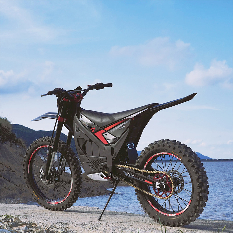Arctic Leopard EX800 Central Motor 25KW 74V 75AH Fast Electric Dirt Bike Racing Motocross High Speed E Motorcycle
