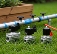 Vanne solénoïde à diaphragme en acier inoxydable SS304 à 2 voies, DC24V normalement fermée, filetage femelle, pour l'irrigation