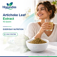 Extrait de feuille d'artichaut en poudre HBEUNDAS 5% Cynarine Qualité Alimentaire Ingrédient d'extrait végétal OEM Marque Privée Vente en Gros