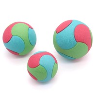 Ballon de jeu pour chien en TPR, durable et indestructible, élastique, pour la mastication et le soulagement de l'ennui, mignon, de haute qualité, pour animaux de compagnie