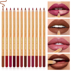 Vente en gros 2025 Nouveau <span class=keywords><strong>Crayon</strong></span> à lèvres minéral naturel longue durée imperméable à haute pigmentation épais Ensemble de 12 couleurs <span class=keywords><strong>Crayon</strong></span> à lèvres certifié CE - Product Image 2