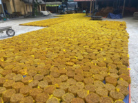 Premium Kaneelstokjes Ceylon Cassia Quills Gedroogde Kruidenbastbuizen Aromatische Kookkruiden Ambachtelijk Decor Gebruik