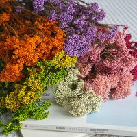 Langdurig bewaarde rijstbloemen bulk, natuurlijke gedroogde rijstbloemen voor thuis, café, hotel en villa interieurdecoratie