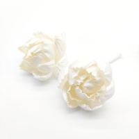 Diffuseur de parfum en roseau écologique de taille personnalisée 6 cm 8 cm, fleur en bois de sola