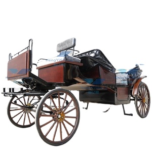 Carruaje de caballos eléctrico elegante para bodas con dosel maravilloso para transporte/Turismo transporte especial - Product Image 6