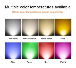 Elanby 12V/24V IP68 0.3W Acero Inoxidable Antioxidante 6000K Luz LED Subacuática para Exteriores, Empotrada en Suelo, Mini Luz para Piscina Ra80 - Product Image 6