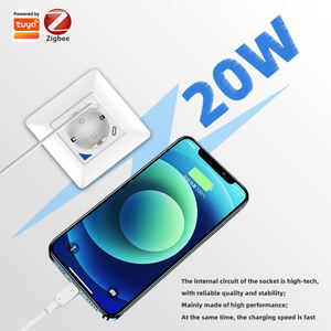 TY-EU86-type-C Zigbee Tuya ซ็อกเก็ตอัจฉริยะ EU ปลั๊กไฟฟ้าชาร์จเร็ว USB Type-C APP รีโมทคอนโทรล การควบคุมด้วยเสียง - Product Image 6