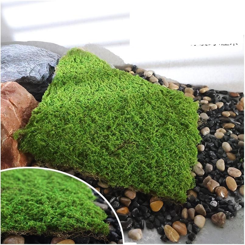 Gazon en soie vert clair 50*50