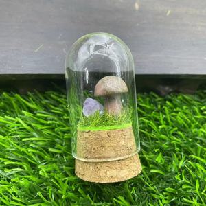 ตู้ไมโครแลนด์สเคปเห็ดคริสตัลสำหรับตกแต่งบ้าน ของตกแต่งคริสตัลบำบัดธรรมชาติสำหรับเด็ก - Product Image 4