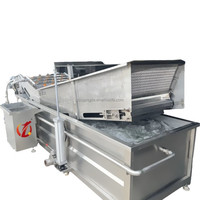 QD Factory Directe Levering Belletjeswasmachine Groente- en Fruitwasmachine Competitieve Prijs