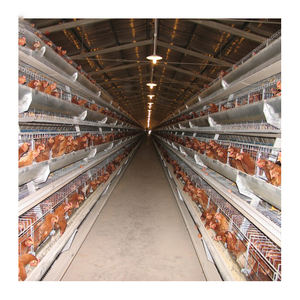 قفص الدجاج بأربعة طبقات من النوع سهل التركيب بشبكة سلكية بسيطة ، قفص الدجاج لمزرعة الدواجن - Product Image 5