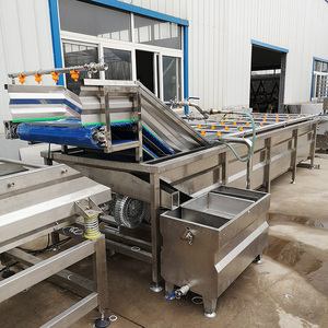 เครื่องล้างอุตสาหกรรมอาหารอัตโนมัติ รุ่น SS304 แบบฟองอากาศ สำหรับมันฝรั่ง มะเขือเทศ และผักใบเขียว - Product Image 6