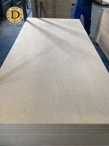 Contrachapado de Origen Vietnamita para el Mercado de la UE, Libre de Antidumping, Contrachapado Recubierto con Película para Encofrado, Suministro Directo de Fábrica - Product Image 4