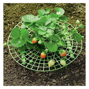 Support <span class=keywords><strong>de</strong></span> culture <span class=keywords><strong>de</strong></span> fraises A32 avec plateau cylindrique – Outil <span class=keywords><strong>de</strong></span> jardinage pour la plantation et les rangées <span class=keywords><strong>de</strong></span> fraises - Product Image 1