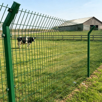 Clôture de jardin agricole en PVC de haute qualité, clôture de sécurité pour champ photovoltaïque, grillage soudé, portails d'allée, accessoires de clôture