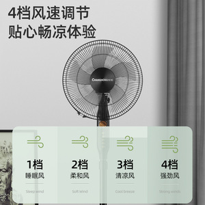 Ventilador de Pie Oscilante Changhong de 40 cm, Ventilador Eléctrico de Piso con Múltiples Velocidades para Uso en el Hogar y la Oficina - Product Image 2