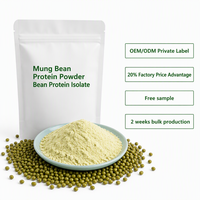 Poudre de protéines de haricot mungo vert clair 100 % végétalienne certifiée ISO, isolat de protéines de haricot mungo, complément alimentaire