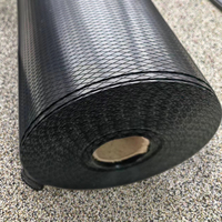 Film moderne DPC PE PP imperméable et résistant à l'humidité, bandes imperméables, résistant aux UV, écologique, isolation, sous-sol, ciment, couchage, brique, 50m