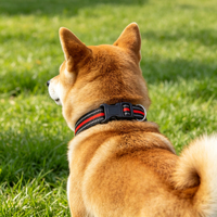<strong>Best</strong> Seller Adjustable <strong>Reflective</strong> Nylon <strong>Dog</strong> <strong>Collar</strong> and Leash Set with Ribbon Decorations Solid Pattern Pet Supplies