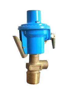 Top Quality Gas Regulator ,Gas Bottle Valve ,LPG Valve