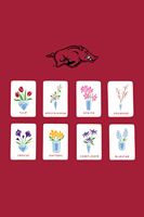 Jeu de Mahjong en Acrylique Blanc de l'Université de l'Arkansas, Tuiles de Jeu Personnalisables avec Logo, Tuiles de Table avec Boîte de Rangement en Acrylique
