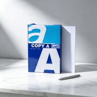 Papier d'impression A4 CopyA 70g/75g/80g 500 feuilles Haute Qualité Personnalisable 100% Pâte de Bois Vierge Blanc Usage Bureau Shandong Chine