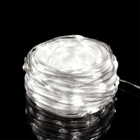 Guirlande lumineuse LED pour extérieur, étanche, 30M 50M 100M, câble vert, câble noir, câble transparent, avec télécommande