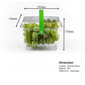 Panier à fruits en plastique PET jetable personnalisé, boîte d'emballage pour fruits et légumes, boîte transparente pour fraises avec poignée - Product Image 2