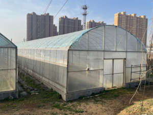 Agricultura Single Span Germinación Sandía Invernadero Material Perfil Aire acondicionado Techo curvo <span class=keywords><strong>Lechuga</strong></span> Invernadero para la venta - Product Image 2