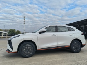 Voiture électrique SUV Dongfeng Forthing <span class=keywords><strong>Friday</strong></span> à succès, autonomie de 500 km, certification WVTA - Product Image 5