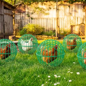 Cage à poulets mobile en maille plastique, démontable, sur roulettes, anti-morsure de chien, anti-écrasement par cheval, pour l'élevage de volailles en extérieur - Product Image 1