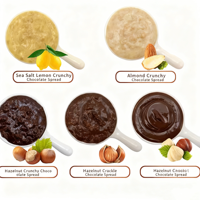 Pâte à tartiner au chocolat et aux noisettes douces de 2 kg, essentiel culinaire B2B pour les gâteaux, les pâtisseries, la crème glacée et les garnitures/glaçages