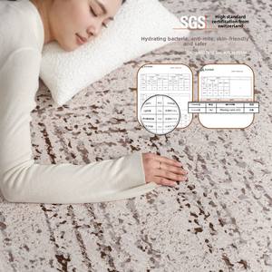 Tappeto di lusso italiano per soggiorno camera da letto 10mm resistente alle macchie facile da pulire senza lavaggio di fascia alta moderna 2025 vecchio tappetino - Product Image 4