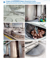 Cuve de dissolution de cuivre haute performance 2205 Duplex pour l'industrie des circuits imprimés avec chauffage électrique motorisé et sécurité élevée
